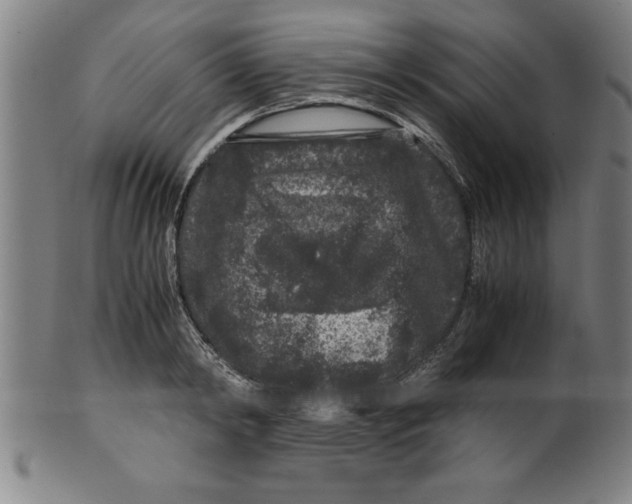 X0000099470798200806061219