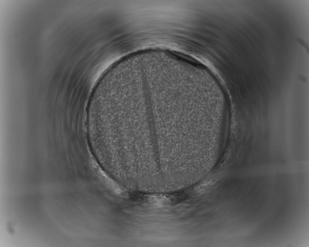 X0000099470799200806061219