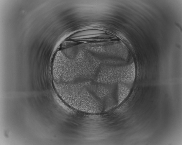 X0000099470800200806061219