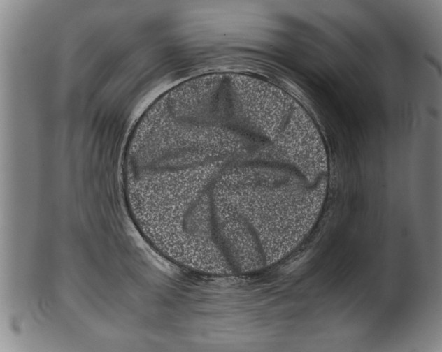 X0000099470803200806061218