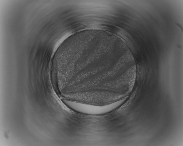 X0000099470804200806061218