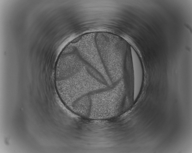 X0000099470805200806061218