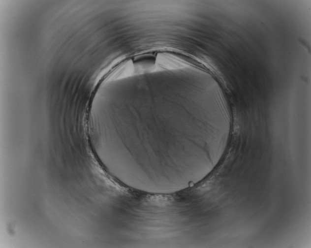 X0000099470806200806061218