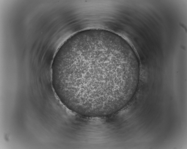 X0000099470807200806061218