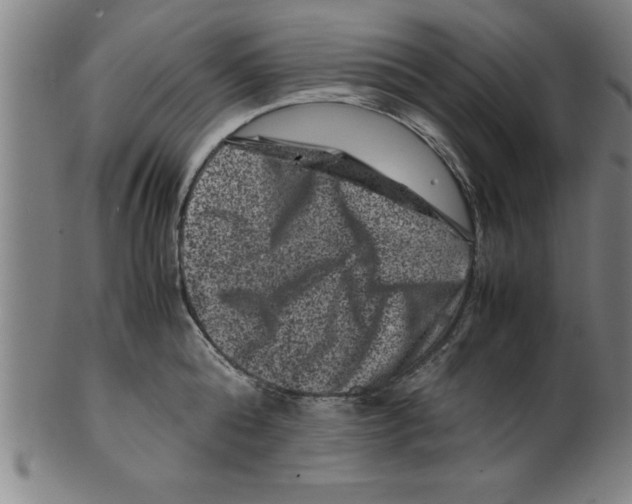 X0000099470808200806061218