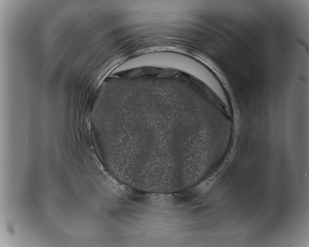 X0000099470809200806061218