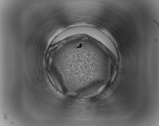 X0000099470813200806061218