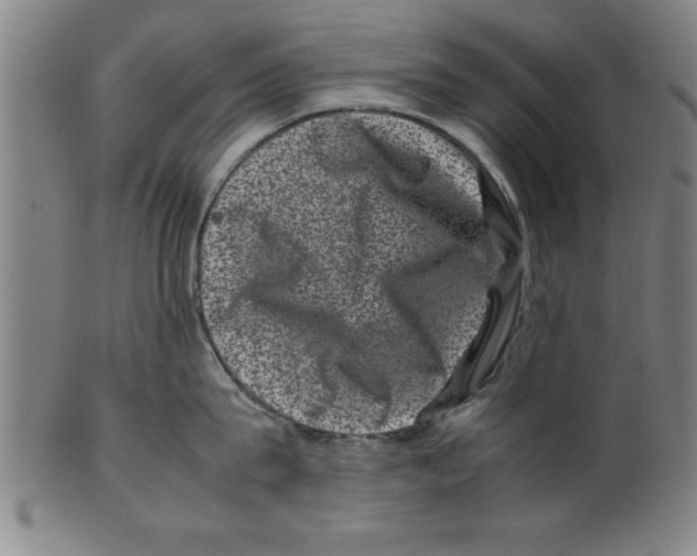 X0000099470815200806061218