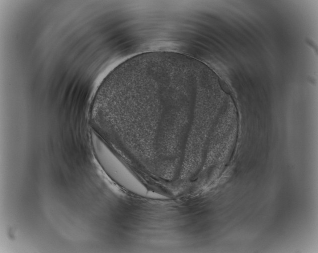 X0000099470816200806061218