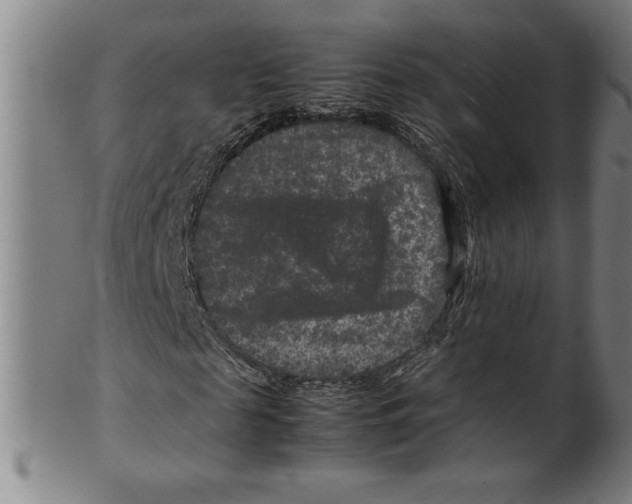 X0000099470817200806061217