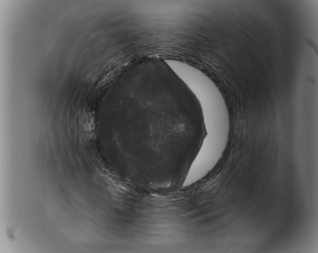 X0000099470818200806061217