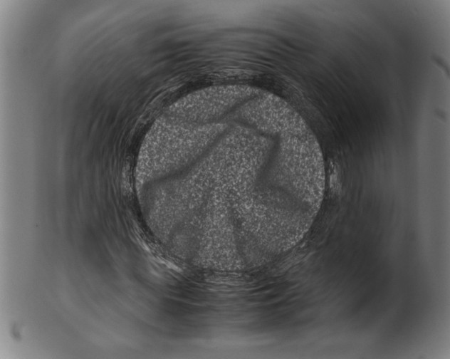 X0000099470819200806061217