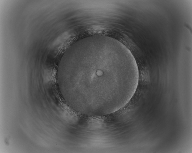 X0000099470820200806061217