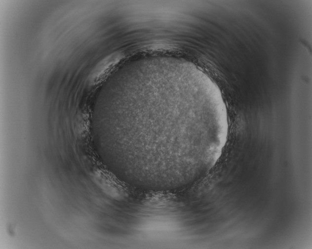 X0000099470824200806061217