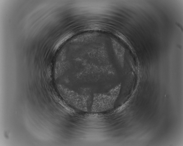 X0000099470826200806061218