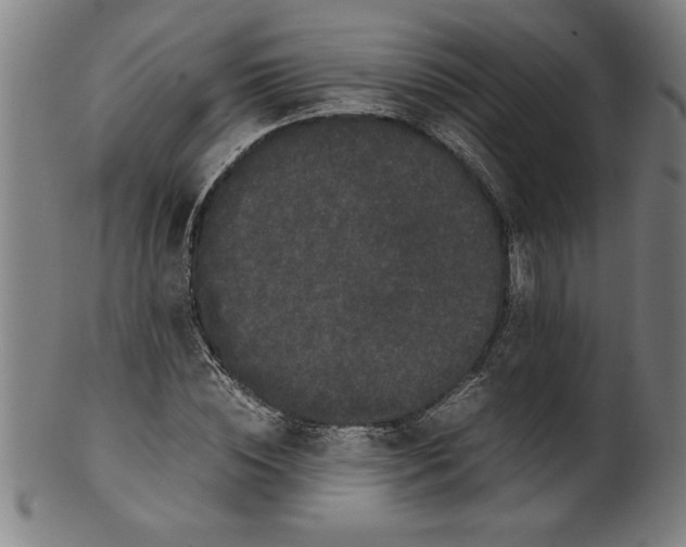 X0000099470828200806061218