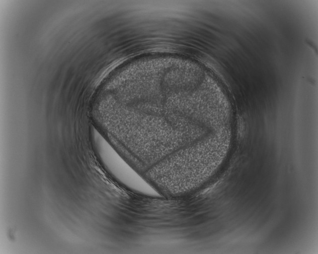 X0000099470829200806061218