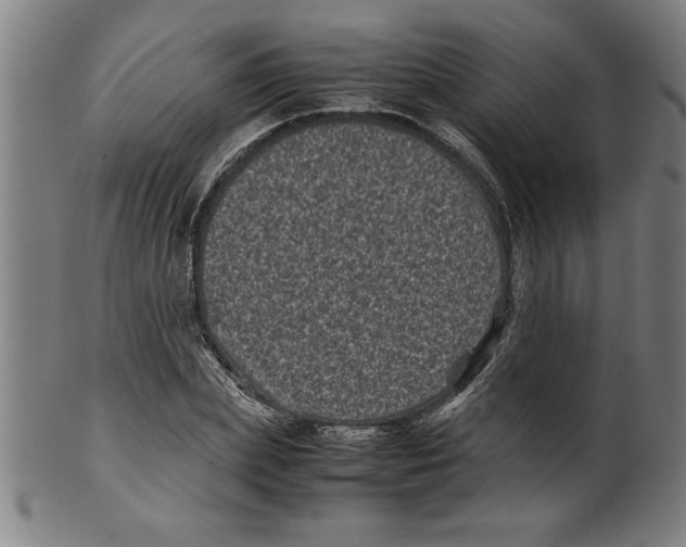 X0000099470831200806061218