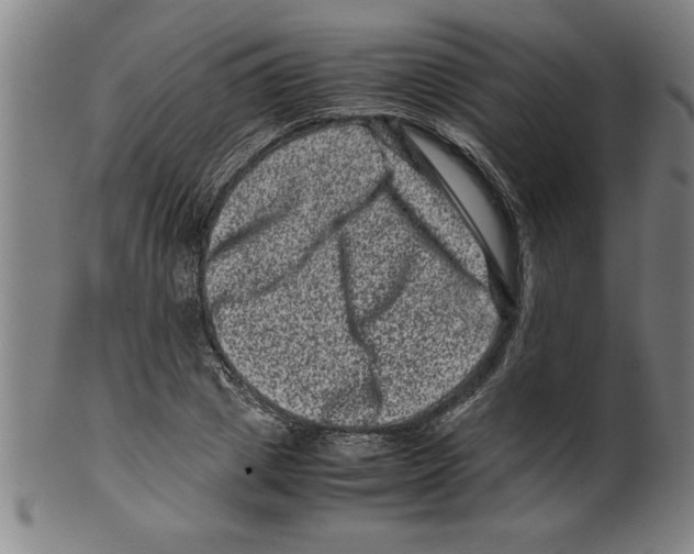 X0000099470833200806061218