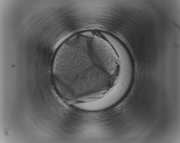 X0000099470834200806061218