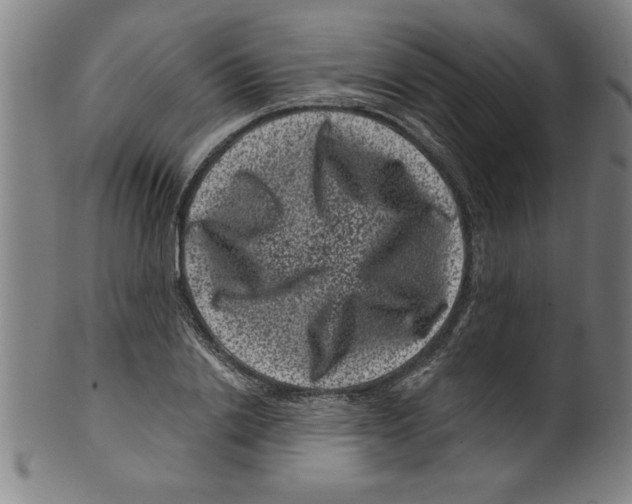 X0000099470838200806061218