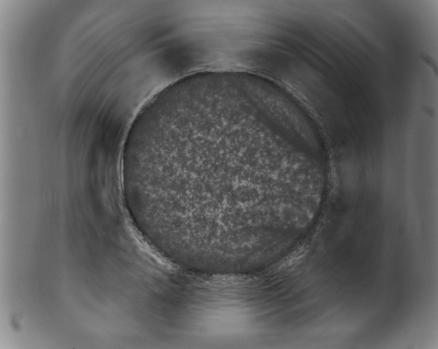 X0000099470840200806061218