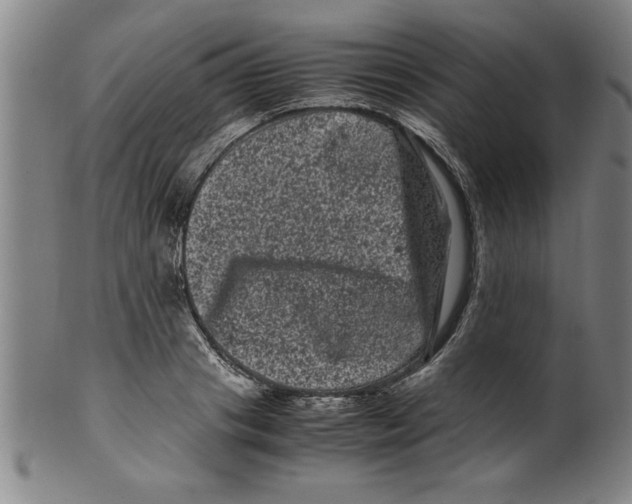 X0000099470841200806061218