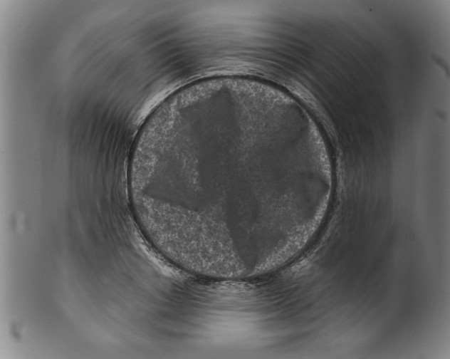 X0000099470842200806061218