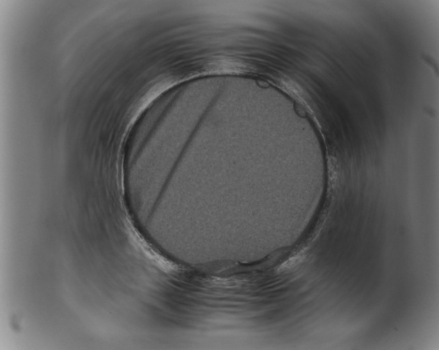 X0000099470843200806061218