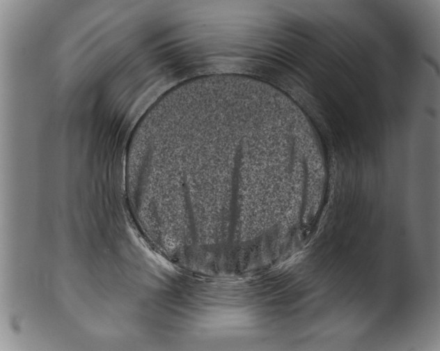 X0000099470844200806061218