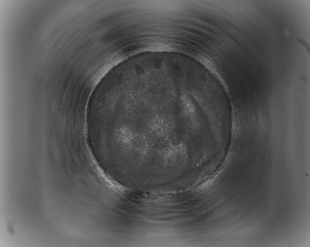 X0000099470845200806061218