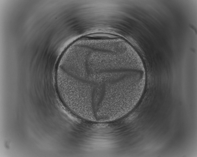 X0000099470846200806061218