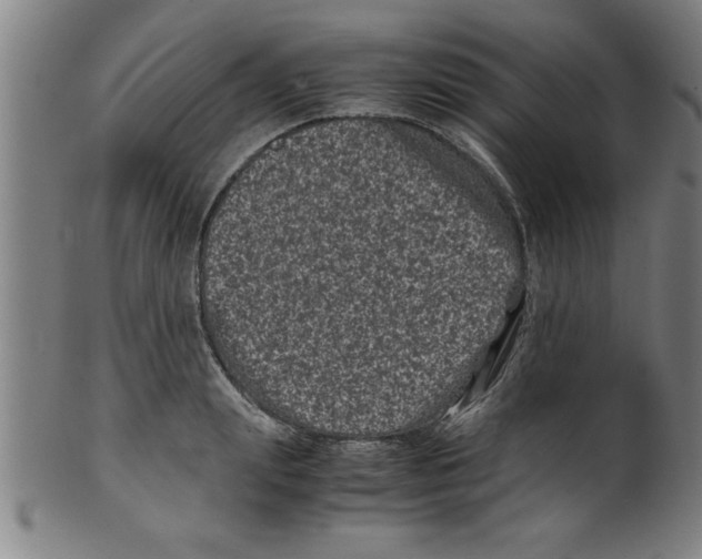 X0000099470847200806061218