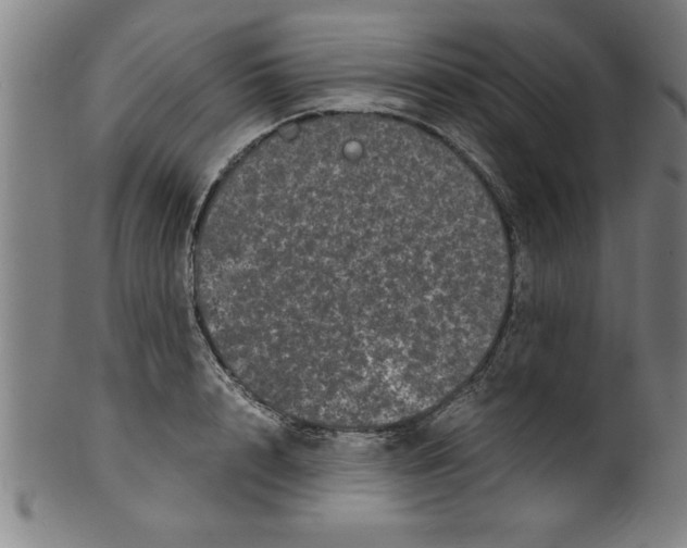 X0000099470848200806061218