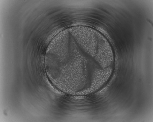 X0000099470849200806061218