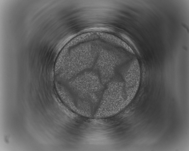 X0000099470852200806061218