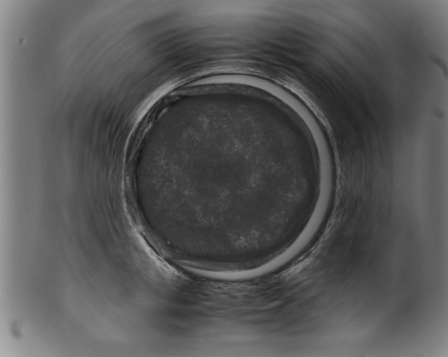 X0000099470853200806061218