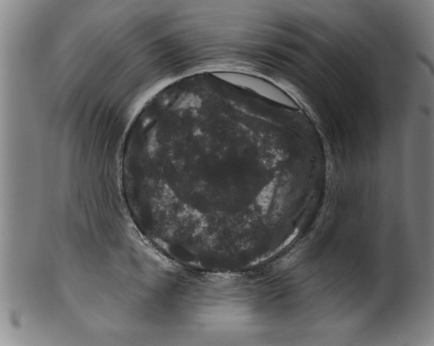 X0000099470854200806061218