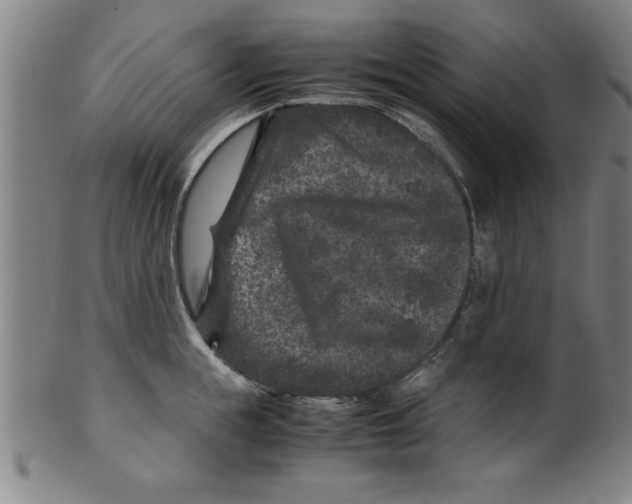 X0000099470855200806061218