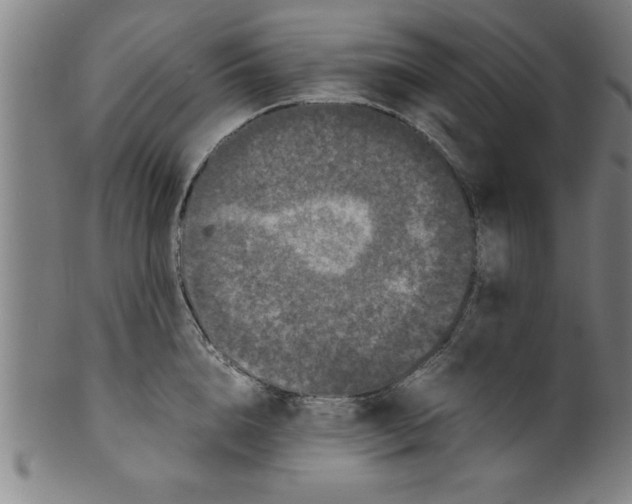 X0000099470856200806061218