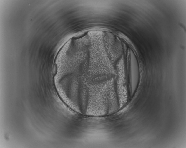 X0000099470860200806061218