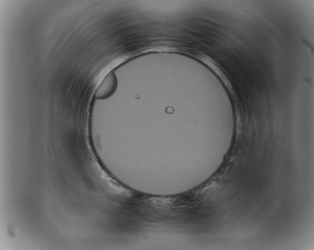 X0000099470861200806061218