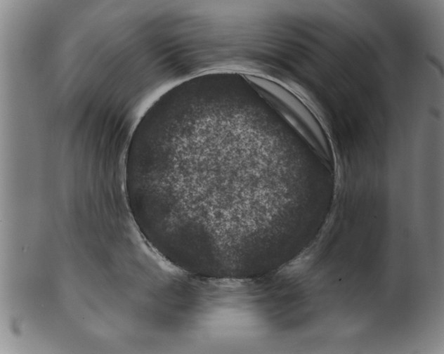 X0000099470862200806061218