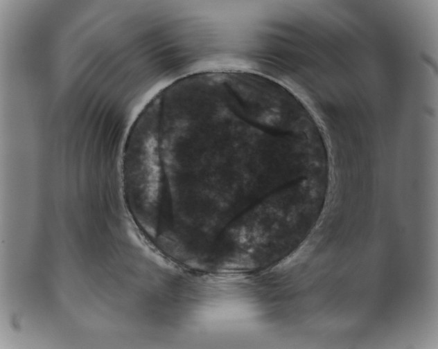 X0000099470864200806061218