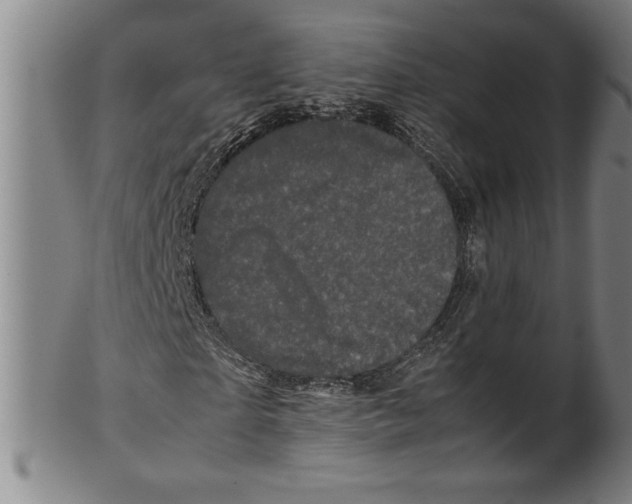 X0000099470865200806061217