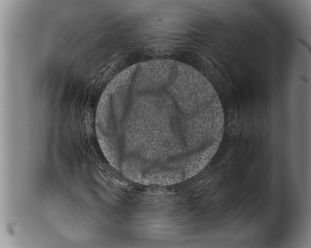 X0000099470866200806061217