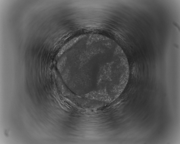 X0000099470868200806061217