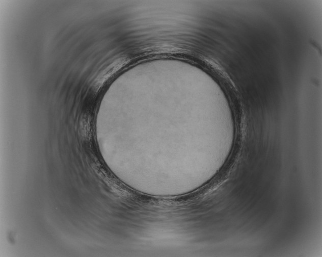 X0000099470873200806061217