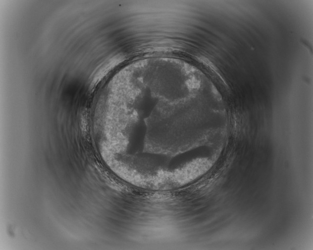 X0000099470874200806061217