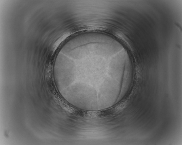 X0000099470875200806061217